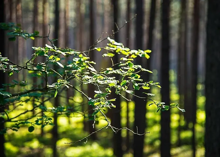 Gaestehaus Kohlberg Kohlberg  foto