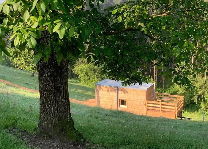 Garnecker Galloways Reut fotorgafie