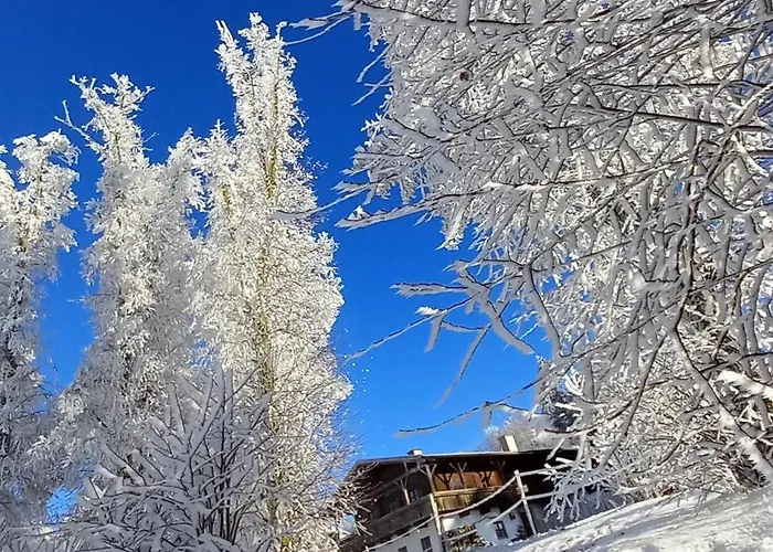 Berg-Panorama-Ferienwohnungen Gut-Lichtenau Hauzenberg φωτογραφία