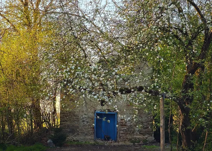 Nusseckerl Eberloh Lägenhet Halfing foto