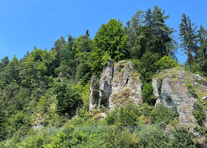 Forellenzucht Regelsmuehle Alfeld  foto