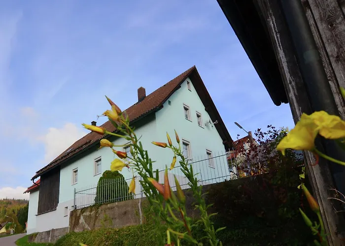 Ferienhaus In Der Naehe Der Skipiste Stadlern Foto