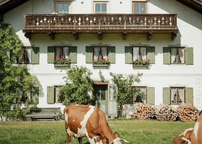 صورة شقة Biohof Dimper - Kuhhorn زولغرُب