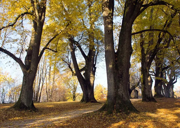 Fewo Karoli Waldkirchen φωτογραφία