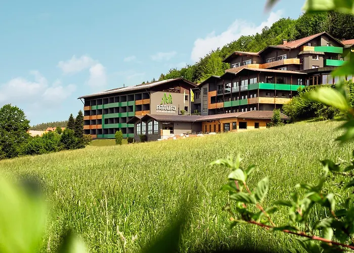 Natura Hotel Bodenmais - Inkl Soft- Und Heissgetraenkeflat photo