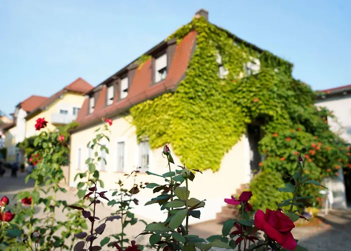 Weingut Martin Blass Erlabrunn  foto