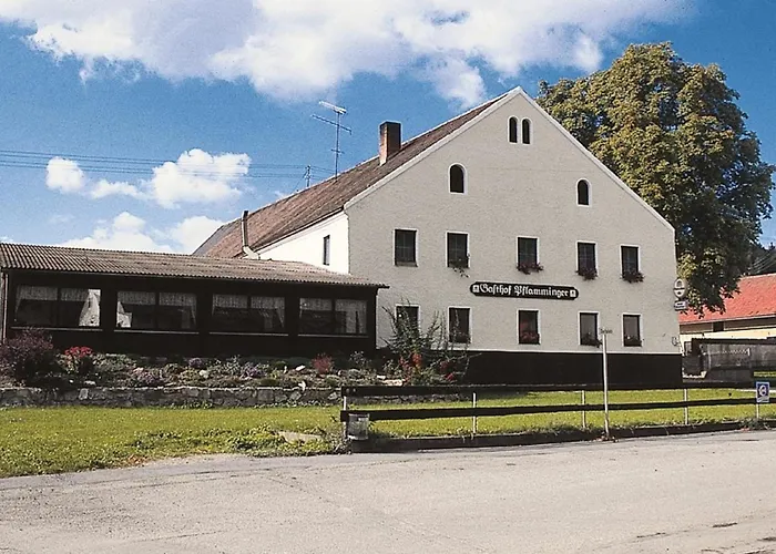 Фото Gasthof Pflamminger Вёрт-ан-дер-Донау