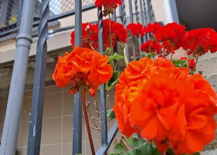 Camelia'S Unterkunft Sulzthal照片