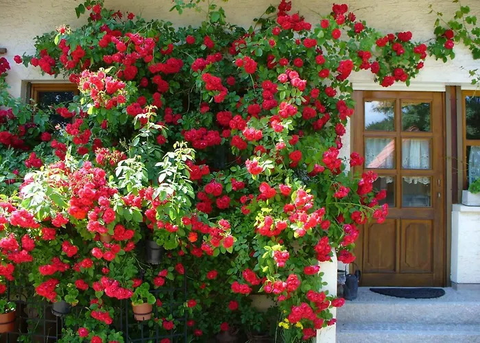 Schlossberghof Marktrodach photo